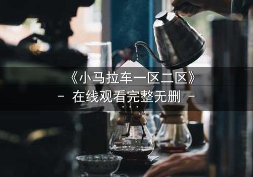 《小马拉车一区二区》- 在线观看完整无删 - 一场跨越时空的复仇与救赎