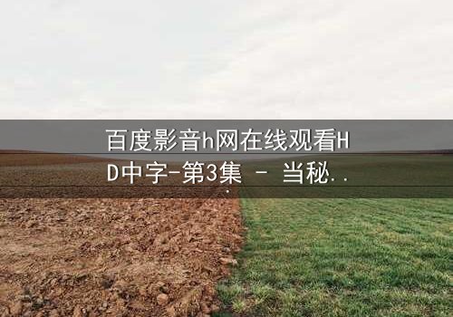 百度影音h网在线观看HD中字-第3集 - 当秘密曝光,谁能全身而退?
