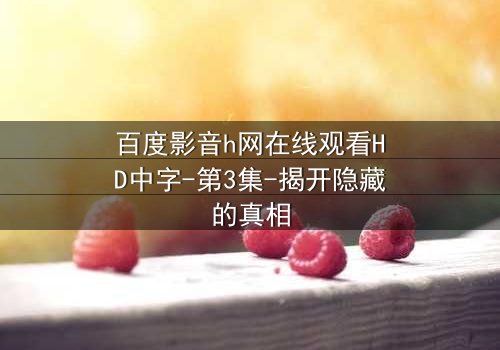 百度影音h网在线观看HD中字-第3集-揭开隐藏的真相