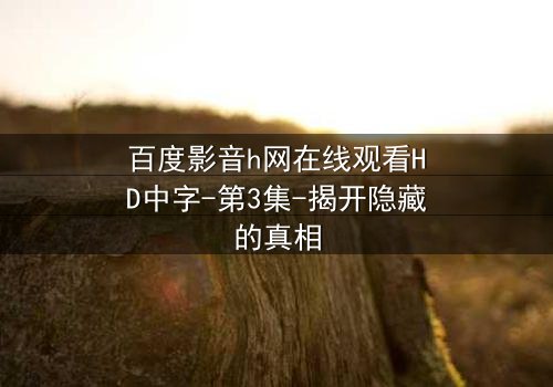 百度影音h网在线观看HD中字-第3集-揭开隐藏的真相