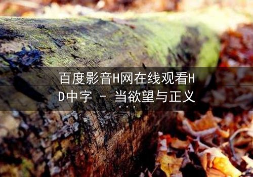百度影音H网在线观看HD中字 - 当欲望与正义在黑暗中交锋