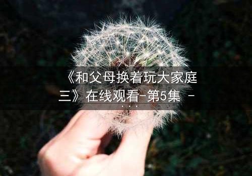 《和父母换着玩大家庭三》在线观看-第5集 - 亲情与欲望的终极博弈
