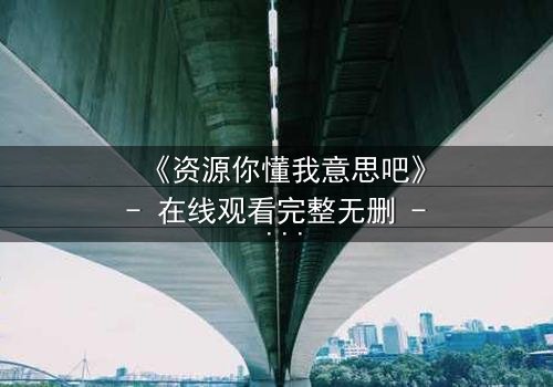 《资源你懂我意思吧》- 在线观看完整无删 - 当秘密资源成为致命诱惑
