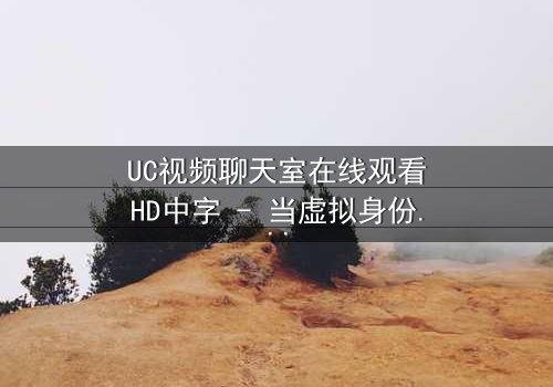 UC视频聊天室在线观看HD中字 - 当虚拟身份引爆现实危机