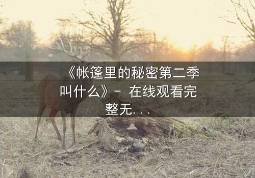 《帐篷里的秘密第二季叫什么》- 在线观看完整无删 - 揭开那场致命背叛的真相