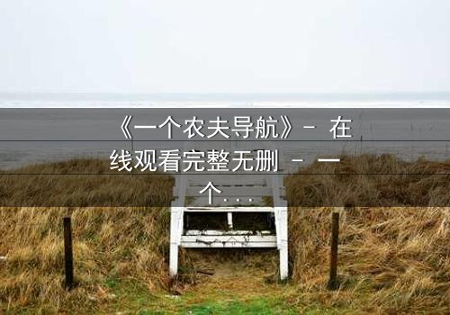 《一个农夫导航》- 在线观看完整无删 - 一个农夫如何用导航改变命运?