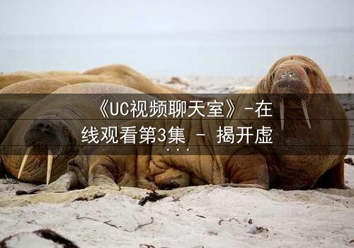 《UC视频聊天室》-在线观看第3集 - 揭开虚拟面具下的真实人性