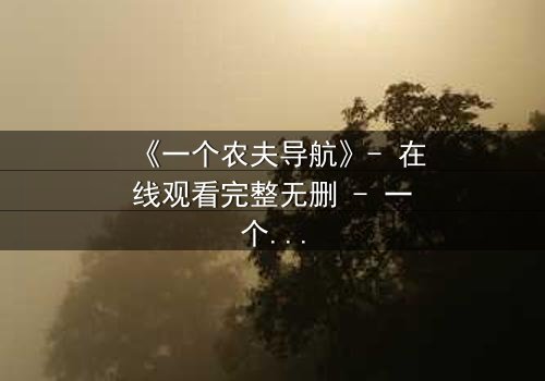 《一个农夫导航》- 在线观看完整无删 - 一个农夫如何用导航改写命运?