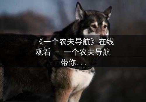 《一个农夫导航》在线观看 - 一个农夫导航带你揭开隐藏的真相,感受命运的无情转折