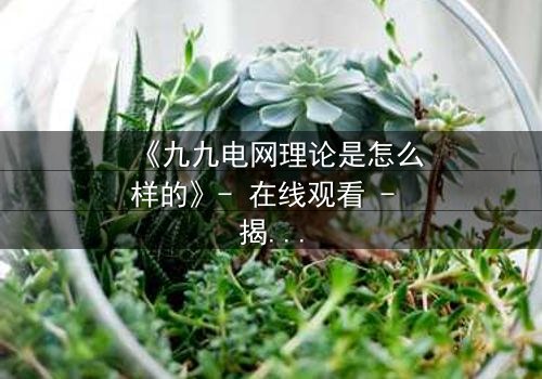 《九九电网理论是怎么样的》- 在线观看 - 揭开人性与科技的终极博弈