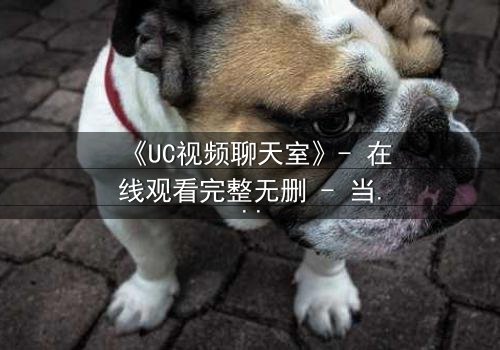《UC视频聊天室》- 在线观看完整无删 - 当虚拟面具撕裂现实