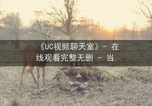 《UC视频聊天室》- 在线观看完整无删 - 当虚拟邂逅撕裂现实