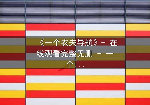 《一个农夫导航》- 在线观看完整无删 - 一个农夫如何用导航改写命运?