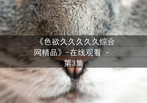 《色欲久久久久久综合网精品》-在线观看 - 第3集